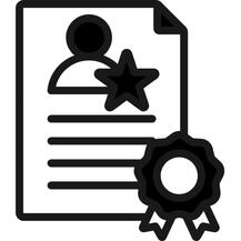 Professional Experience