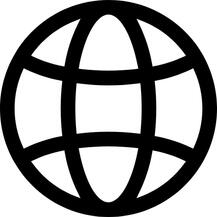 Professional Experience